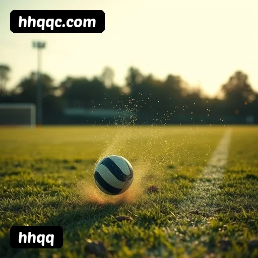 Níveis do programa VIP da hhqq